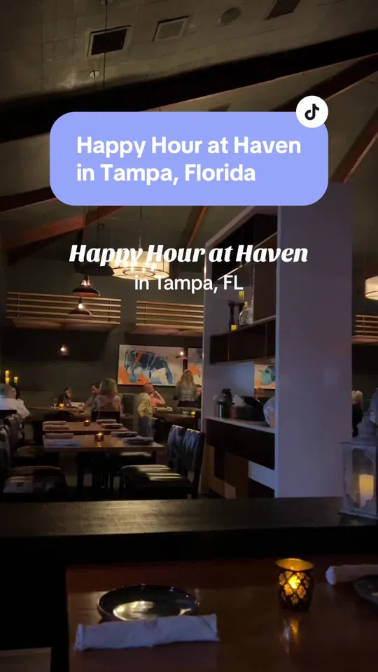 Video at Haven, Tampa