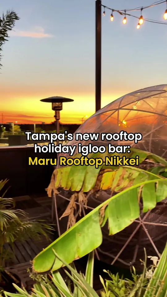 Video at Maru Rooftop Nikkei, Tampa