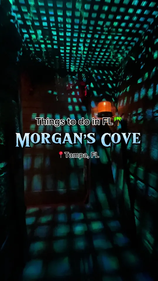 Video at Morgan’S Cove, Tampa