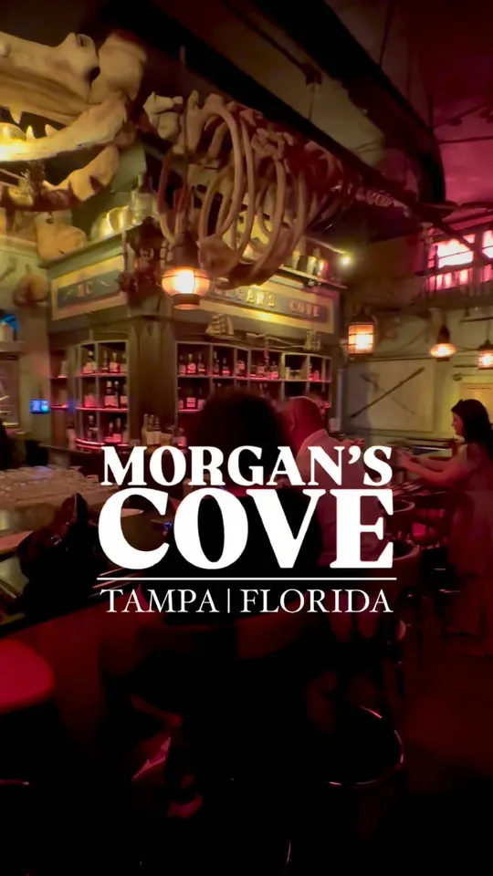 Video at Morgan’S Cove, Tampa