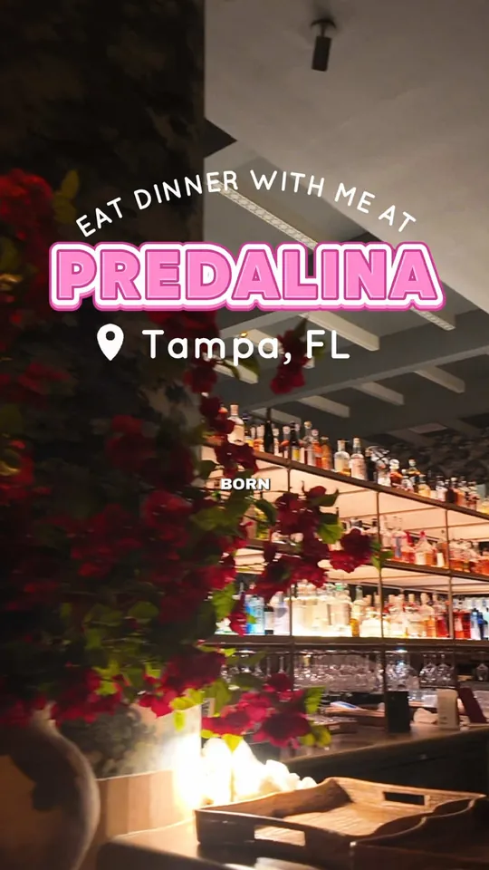 Video at Predalina, Tampa
