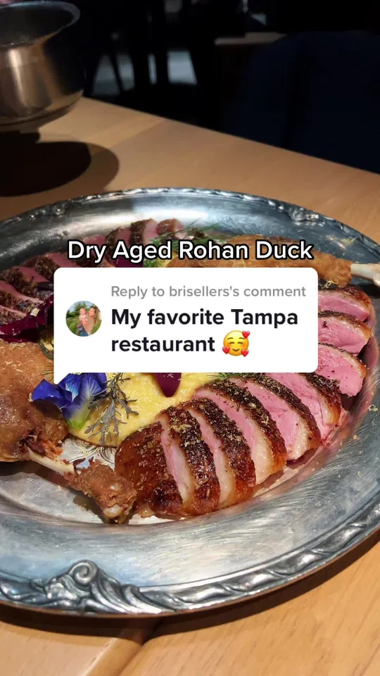 Video at Rocca, Tampa