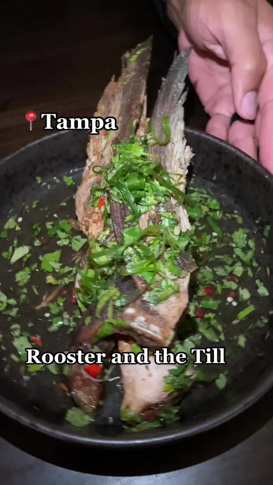 Video at Rooster & The Till, Tampa