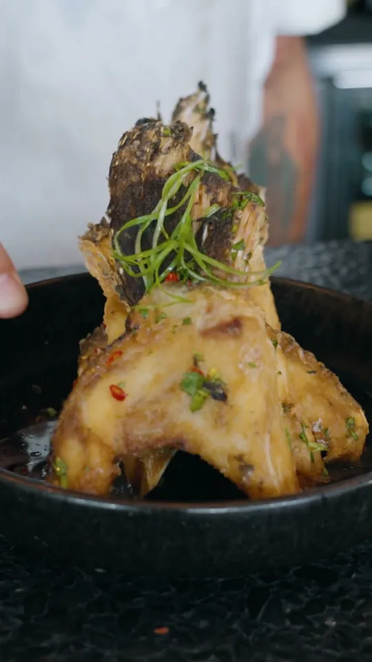 Video at Rooster & The Till, Tampa