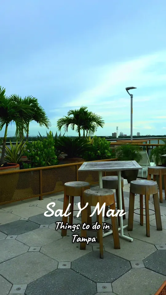 Video at Sal Y Mar, Tampa