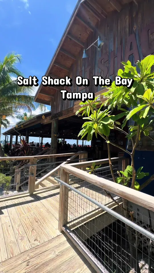 Video at Salt Shack On The Bay, Tampa