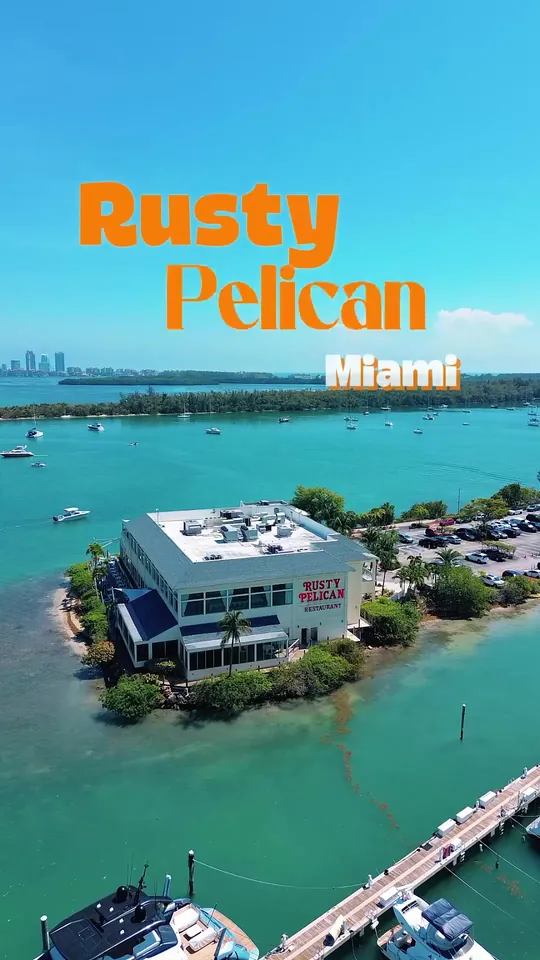 Video at The Rusty Pelican, Tampa