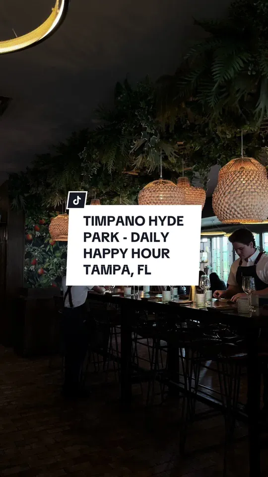 Video at Timpano Hyde Park, Tampa