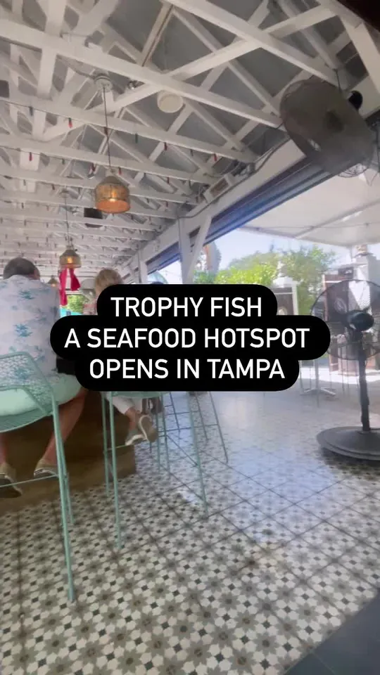 Video at Trophy Fish, Tampa