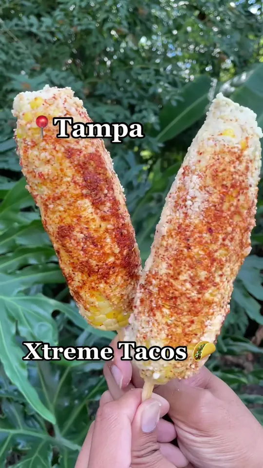 Tacos at Xtreme Tacos Restaurant, Tampa