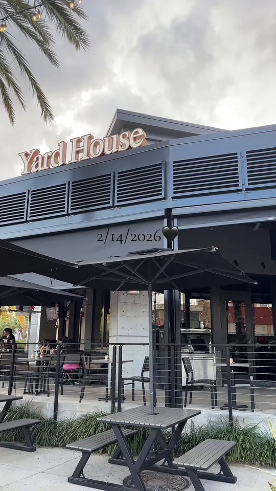 Video at Yard House, Tampa