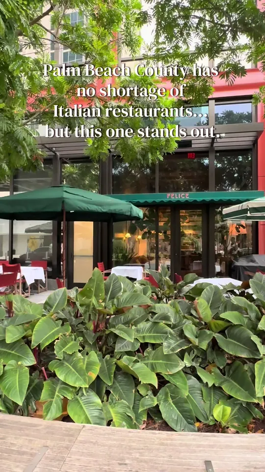 Cacio e pepe at Felice West Palm Beach, West Palm Beach