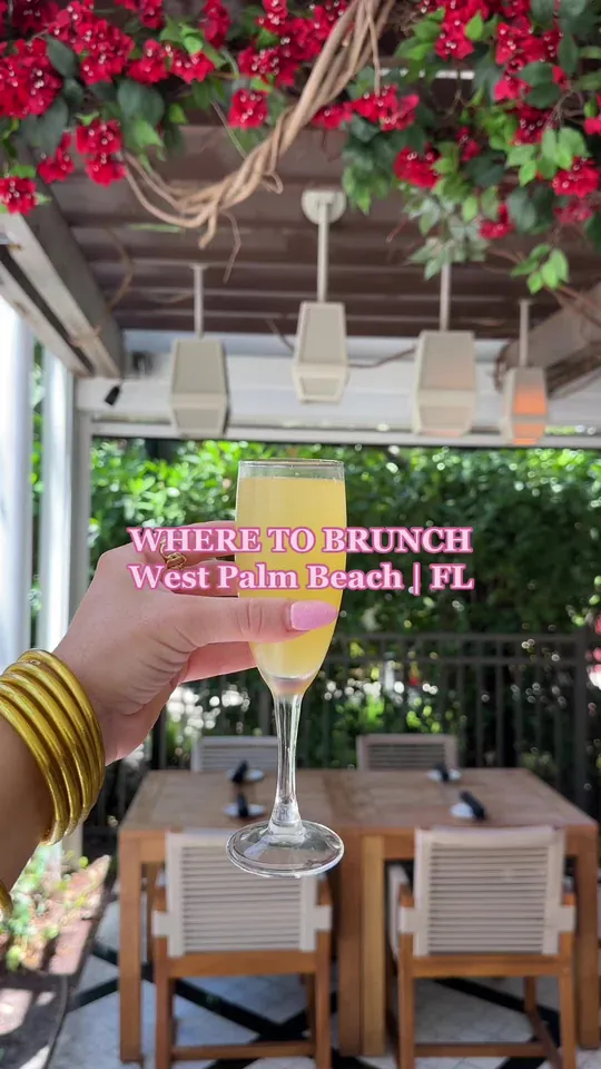 Video at Galley, West Palm Beach