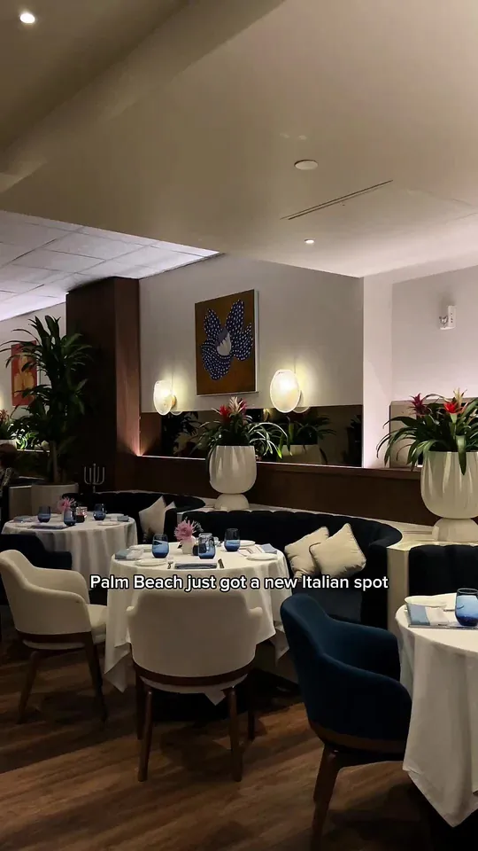 Video at Salute Ristorante Palm Beach, West Palm Beach
