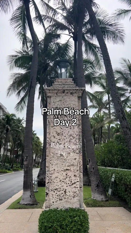 Video at Tutto Mare Palm Beach, West Palm Beach
